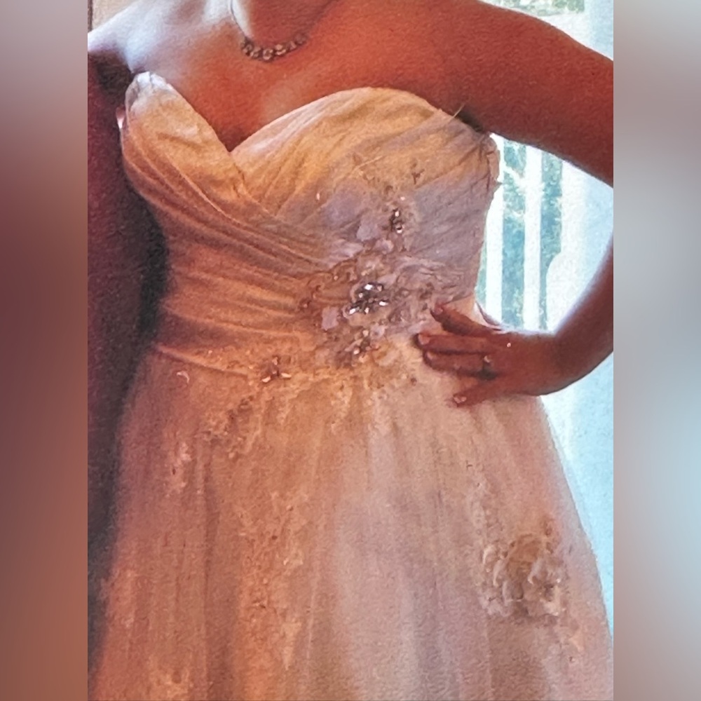 Maggie Sottero Isadora Ann Wedding Dress - Tea Length Discontinued - Picture 4 of 16